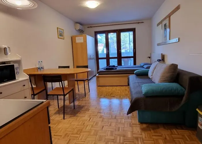 Apartma Luka With Private Parking イゾラ